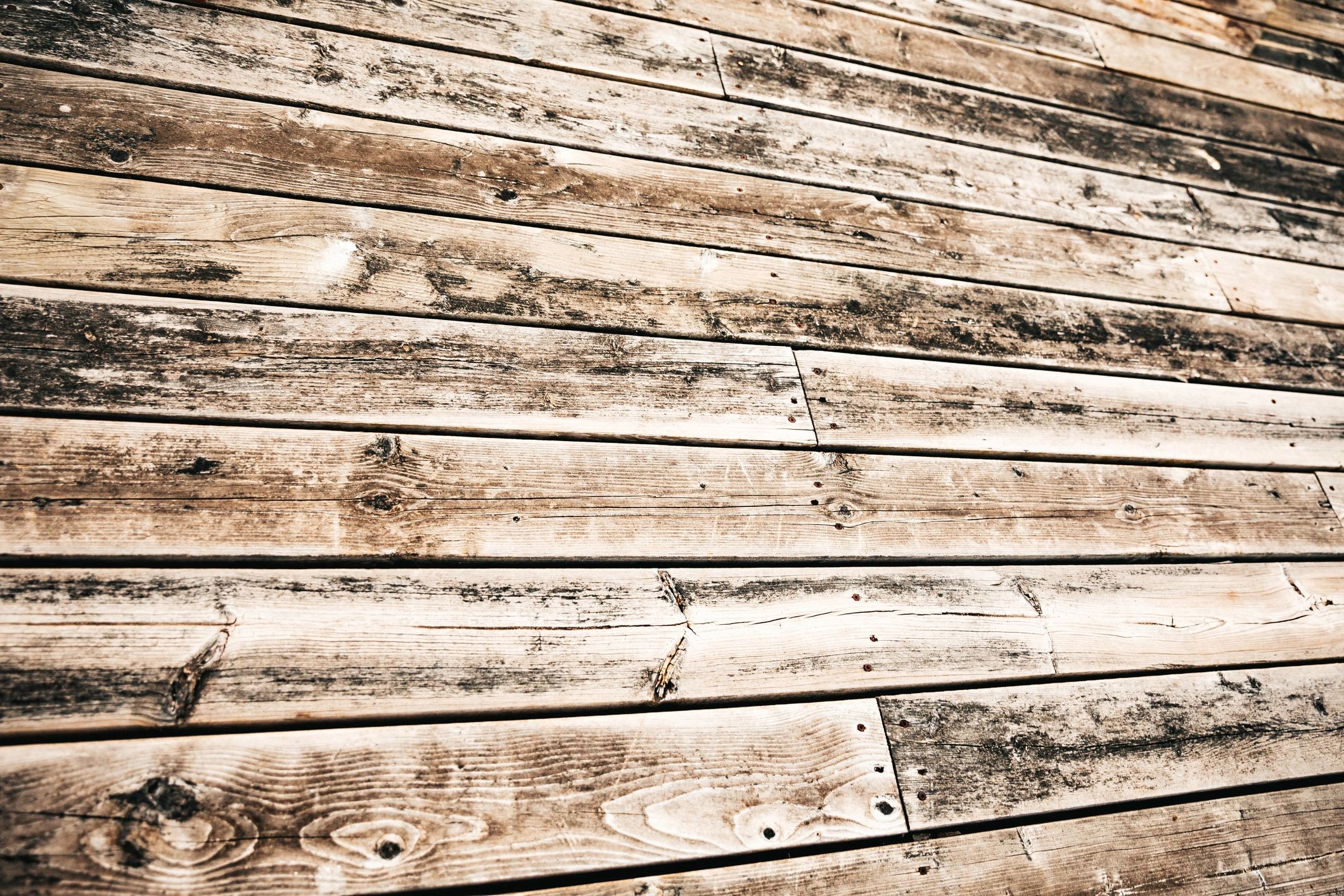 Close-up wood grain texture