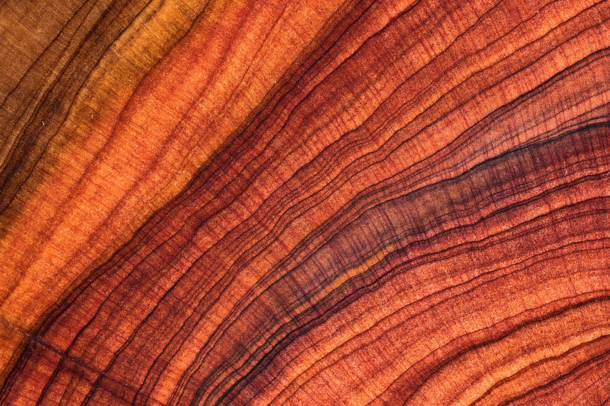 Wood texture background